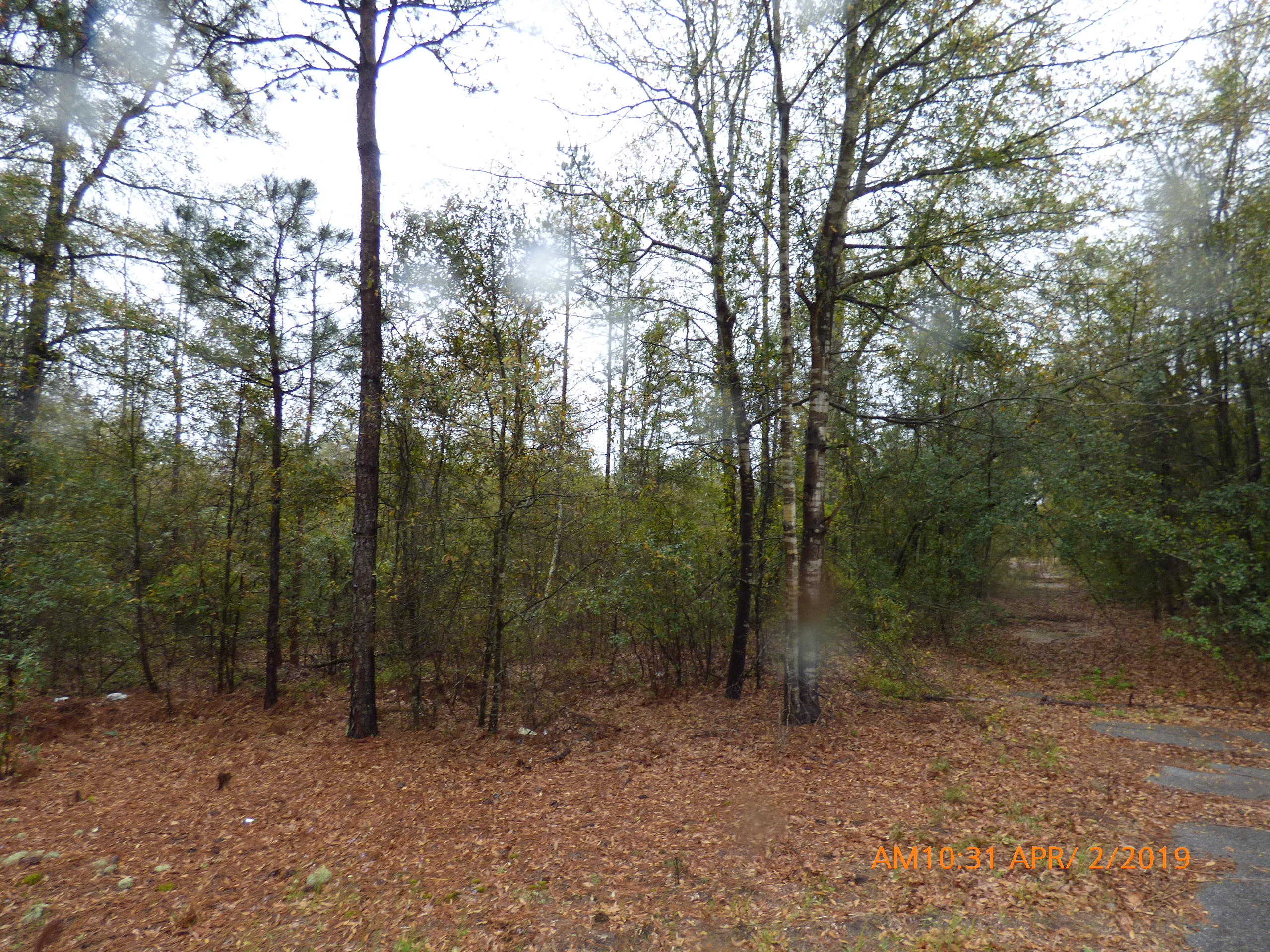 0 Columbia Highway North Ridge Spring, SC 29129 - Photo 1 of 2 P1040093