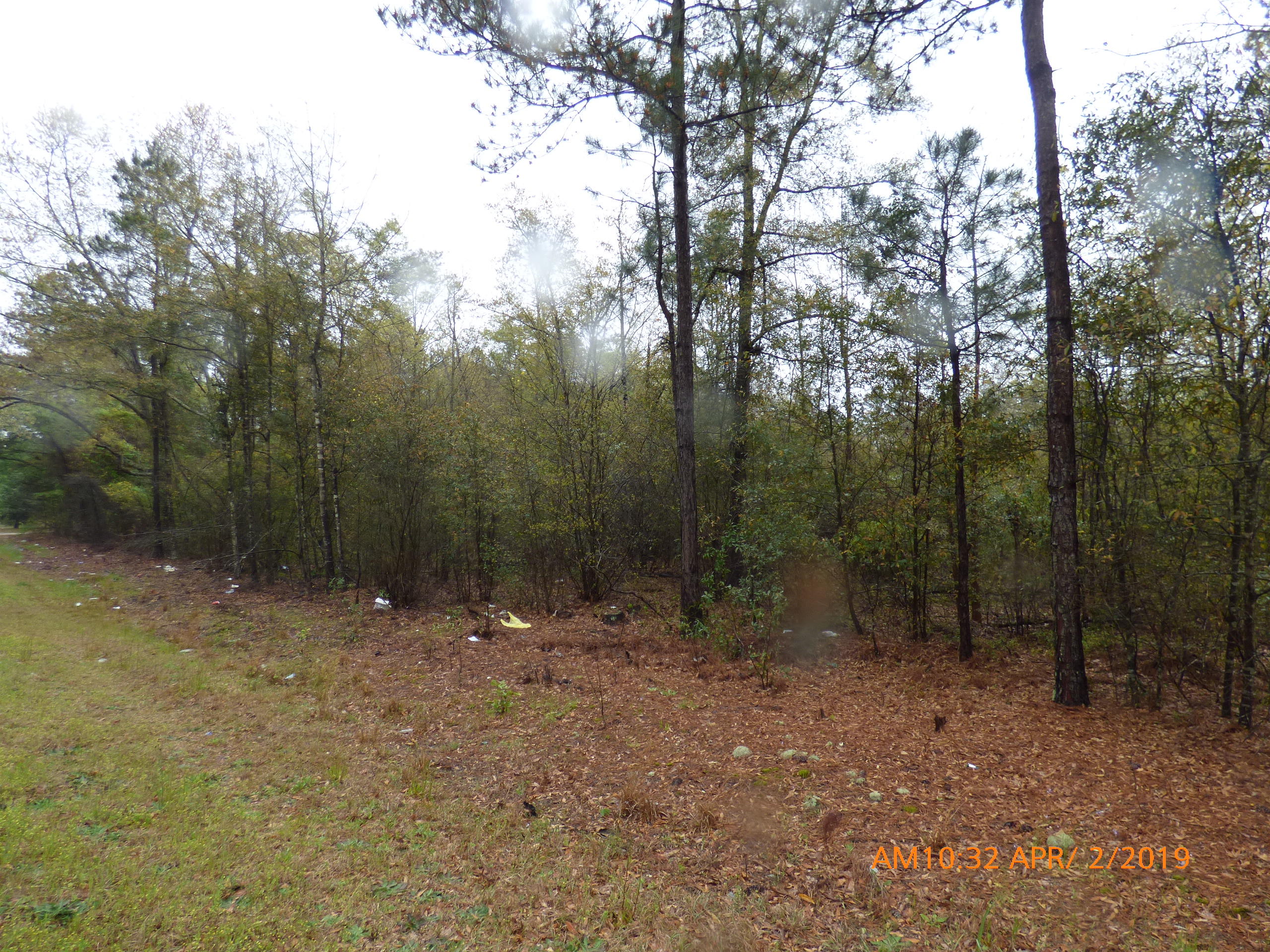 0 Columbia Highway North Ridge Spring, SC 29129 - Photo 2 of 2 P1040094