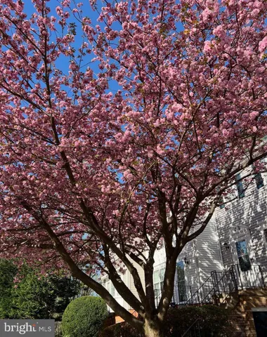 $450,000 | 6064 Old Landing Way, Burke, VA 22015