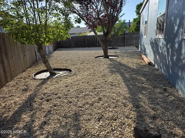 a view of a tree in a yard