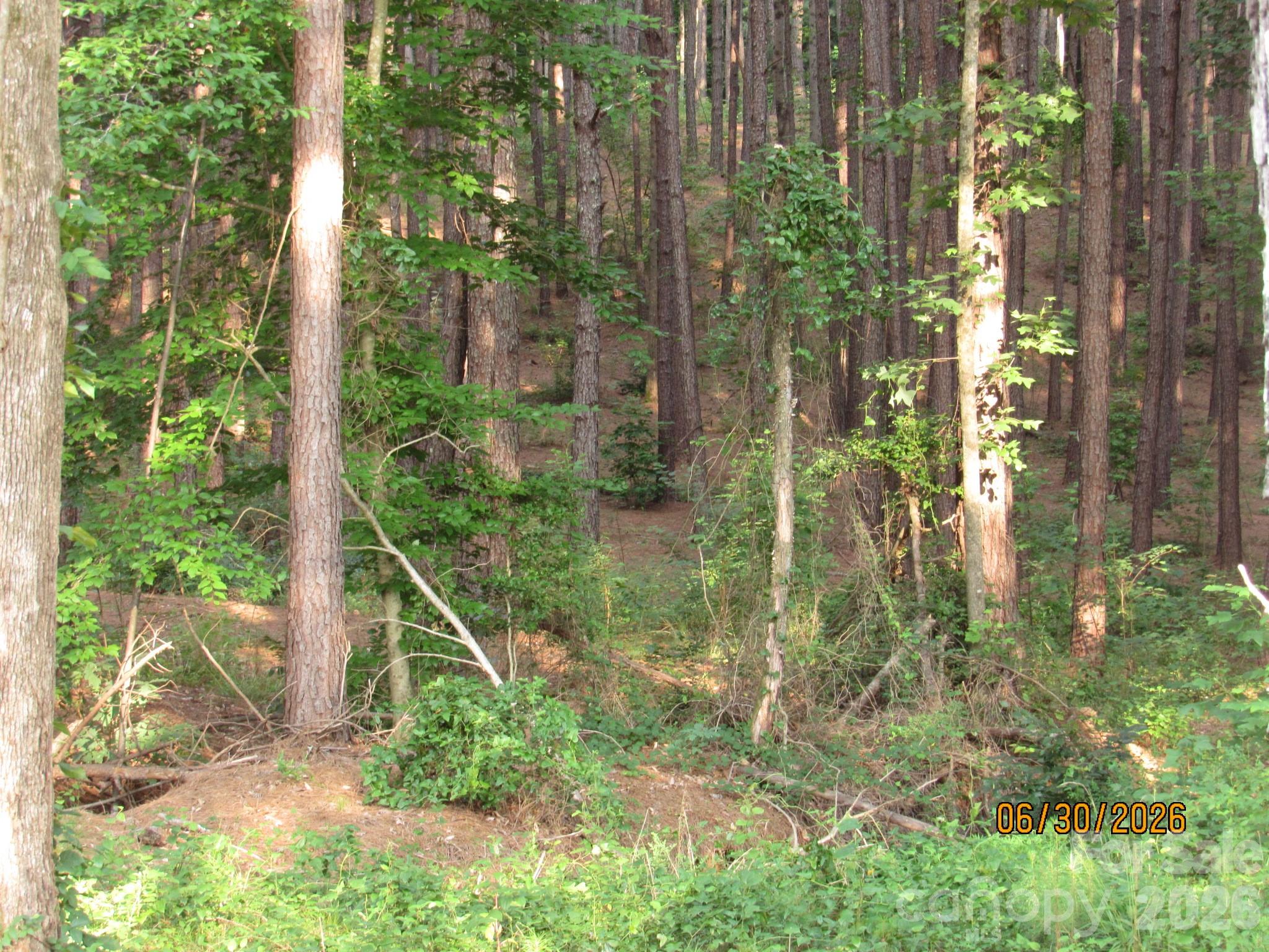 0 Church Road, Unit 12 Taylorsville, NC 28681 - Photo 5 of 7