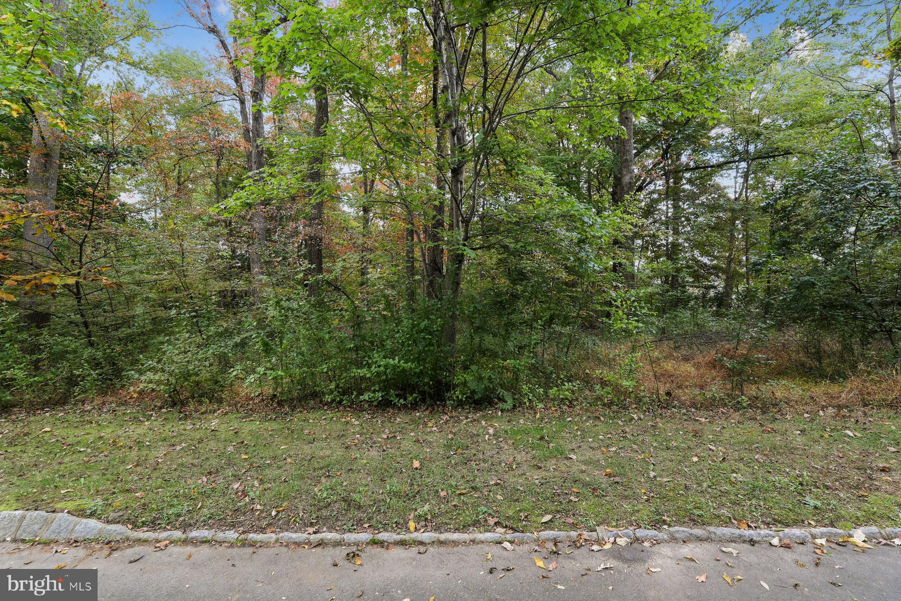 22 Running Cedar Road Princeton, NJ 08540 - Photo 15 of 16