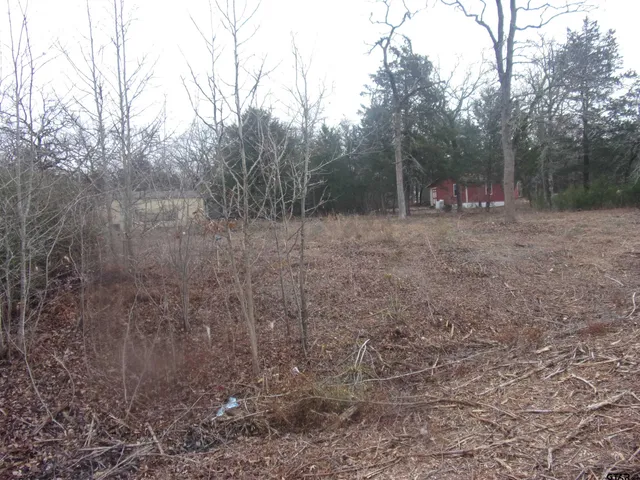 $24,750 | Tbd Maple Drive, Murchison, TX 75778