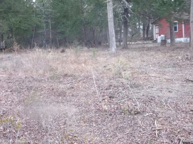 $24,750 | Tbd Maple Drive, Murchison, TX 75778