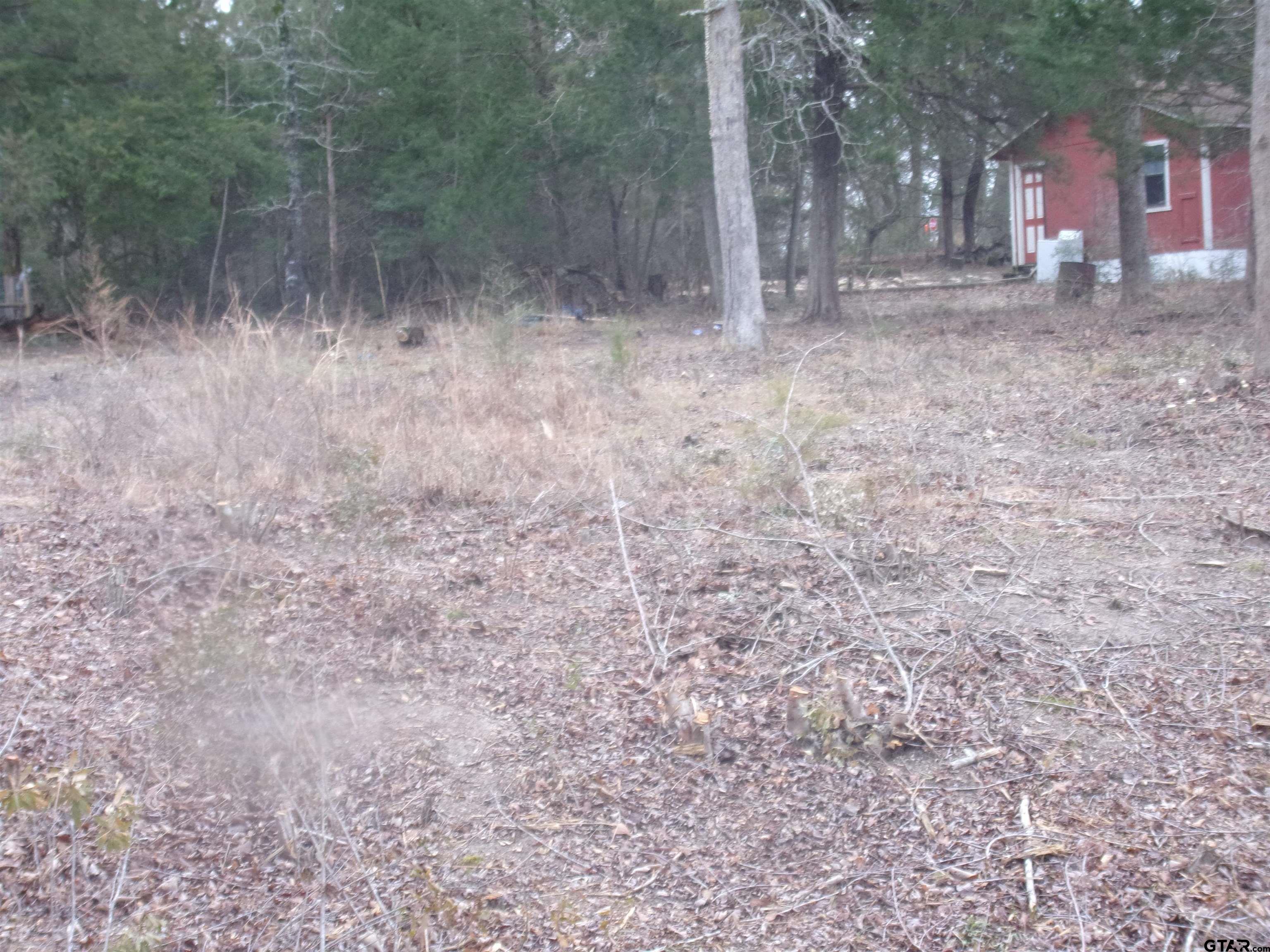 Tbd Maple Drive Murchison, TX 75778 - Photo 4 of 18