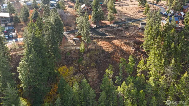 a view of outdoor space with trees all around