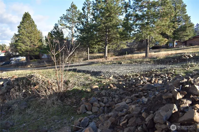 a view of a yard with plants and trees
