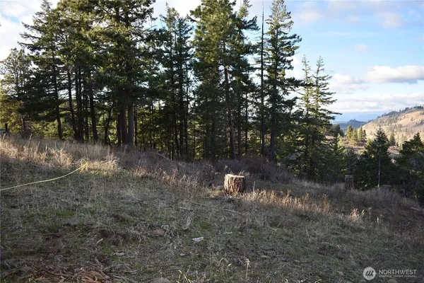 $120,000 | 241 Morrison Canyon Lane, Cle Elum, WA 98922