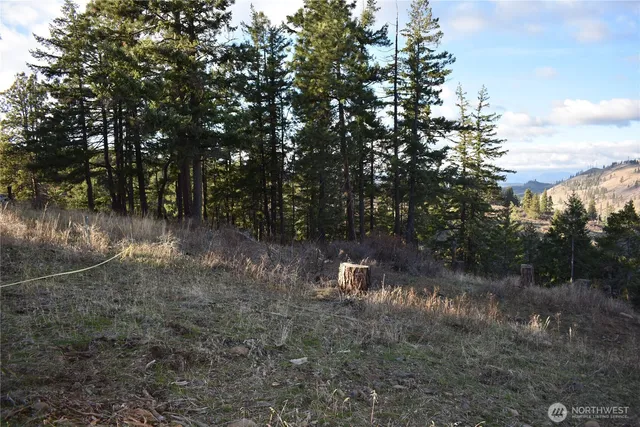 $142,500 | 241 Morrison Canyon Lane, Cle Elum, WA 98922