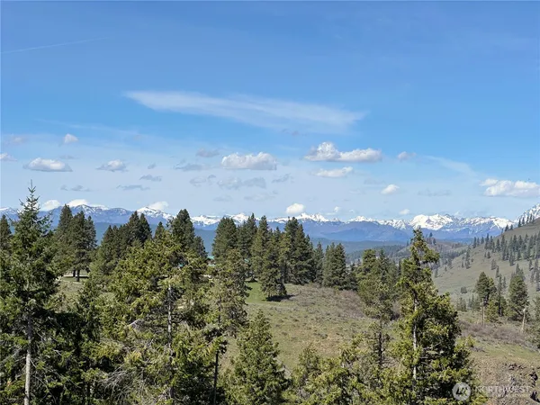 $120,000 | 241 Morrison Canyon Lane, Cle Elum, WA 98922