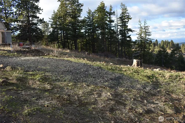 a backyard of a house with lots of green space