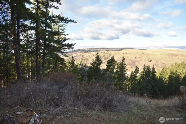 a view of a yard with a tree
