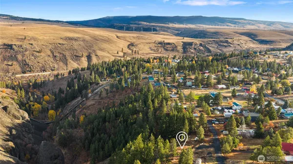 a view of a yard with a tree