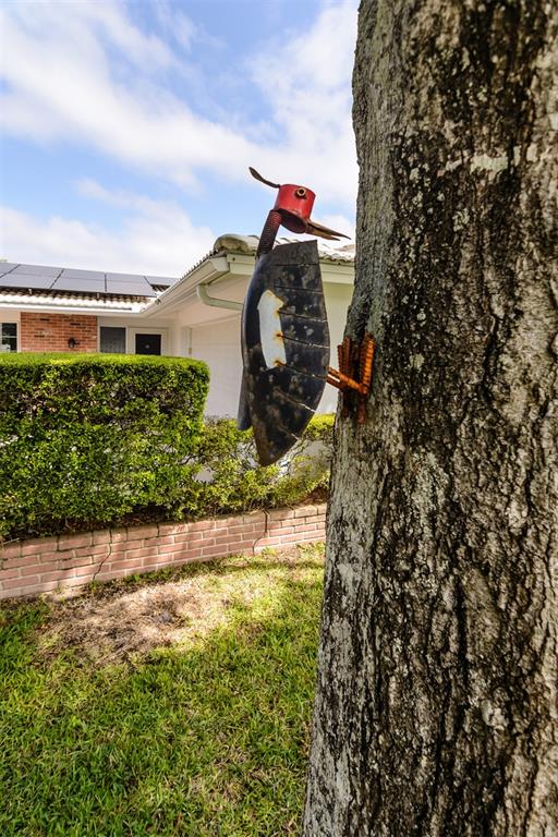 1228 Inverness Drive Dunedin, FL 34698 - Photo 4 of 47