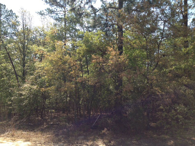 8 B Old Draft Road Aiken, SC 29801 - Photo 2 of 4