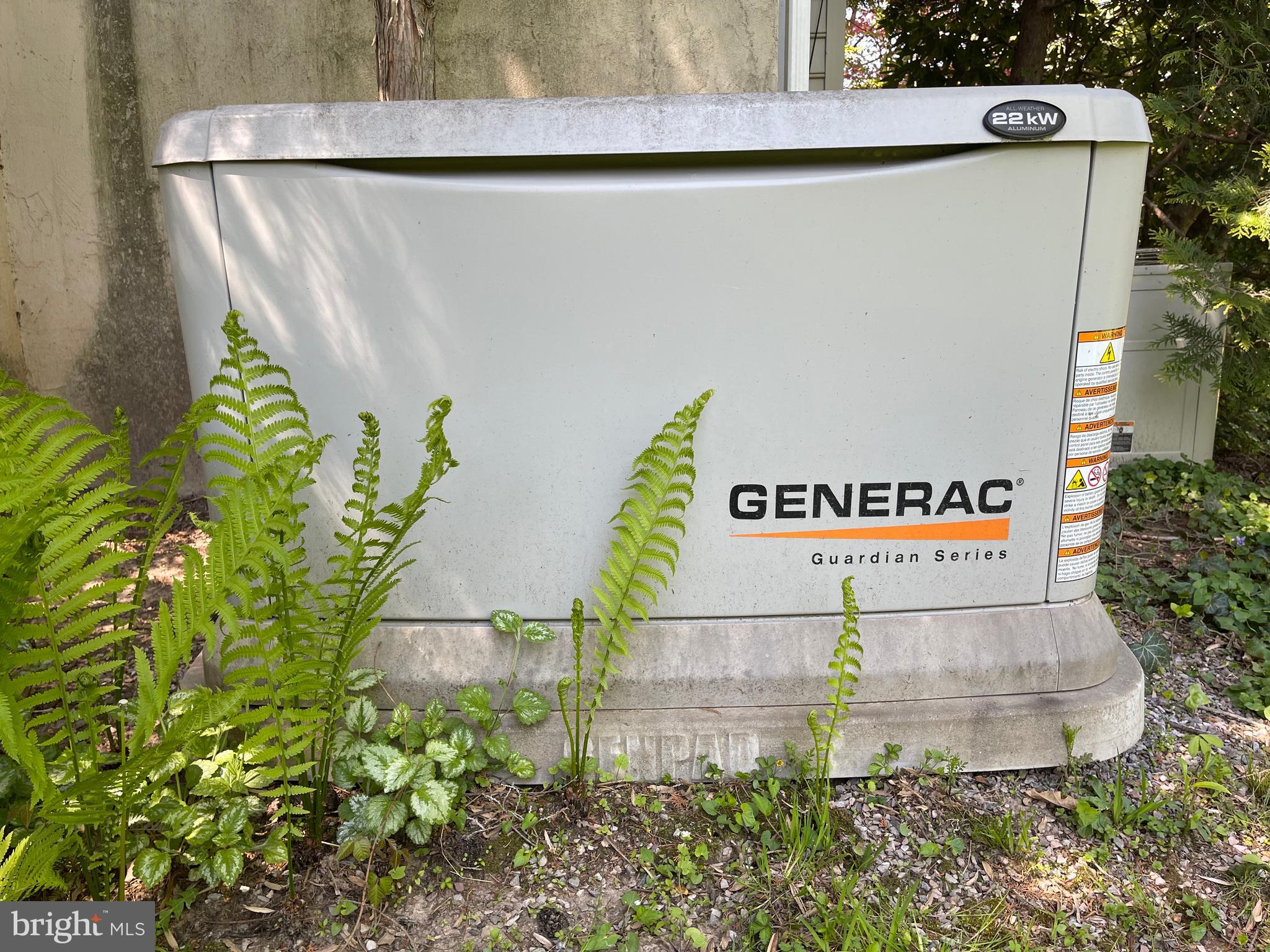 1936 Paper Mill Road Huntingdon Valley, PA 19006 - Photo 54 of 60 House Generator