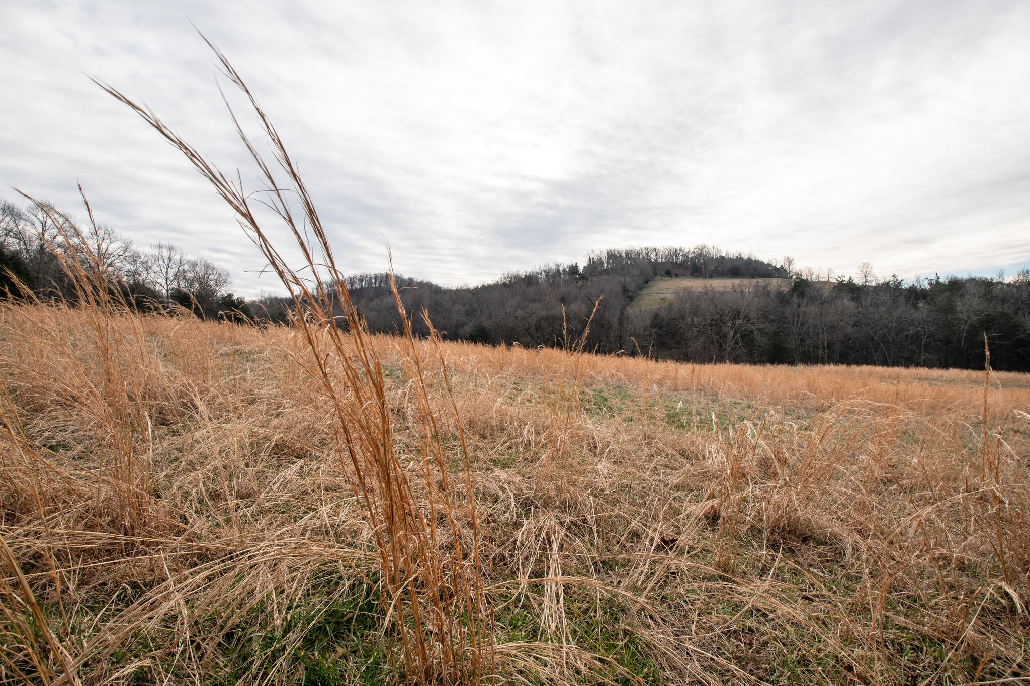 2139 Fishing Ford Road Belfast, TN 37019 - Photo 8 of 32 Gallery Image 8