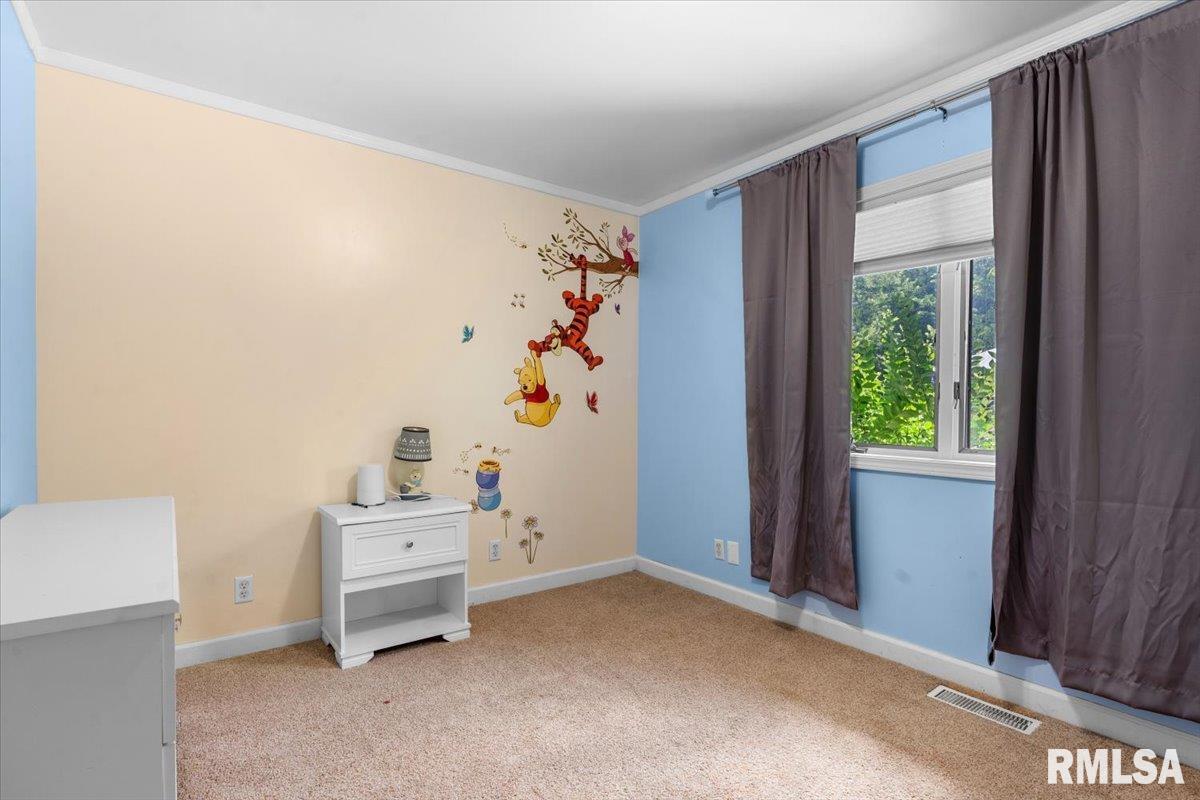 8117 Tack Lane Springfield, IL 62712 - Photo 21 of 38