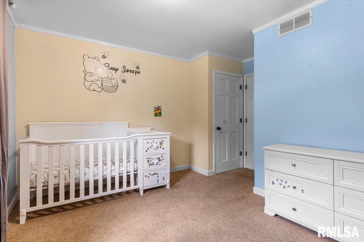 8117 Tack Lane Springfield, IL 62712 - Photo 22 of 38