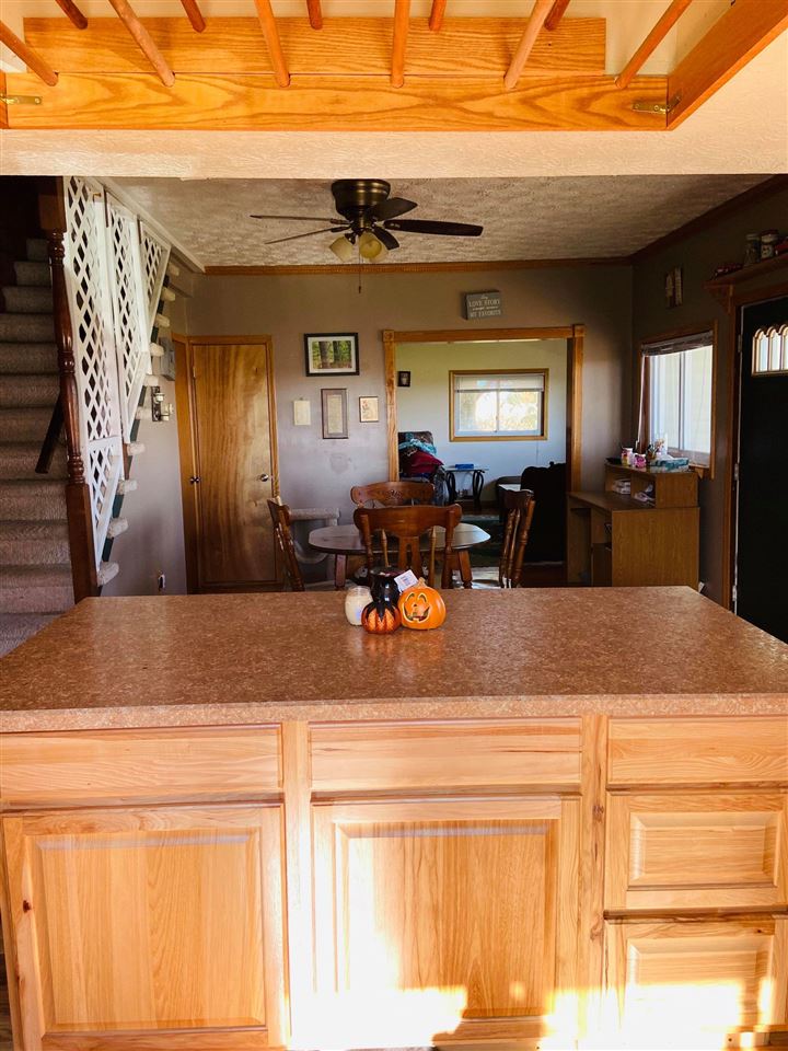 3611 North Wisner Road Breckenridge, MI 48615 - Photo 5 of 21 1880960-4.JPG