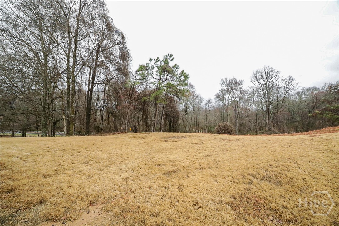 1583 Pointe S Circle Bethlehem, GA 30620 - Photo 41 of 46