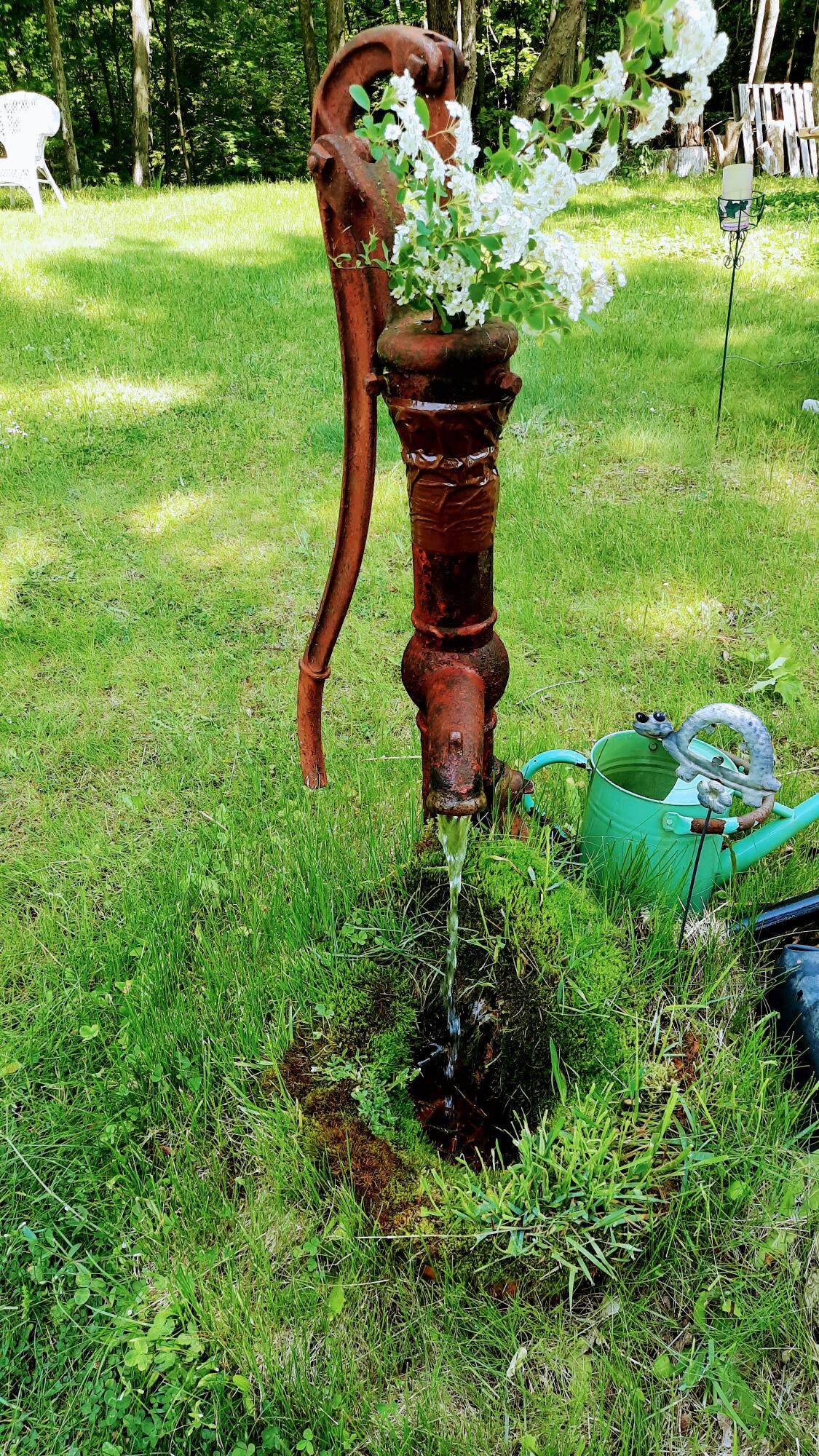 8424 3rd Street Onekama, MI 49675 - Photo 65 of 99 Ever-flowing Well