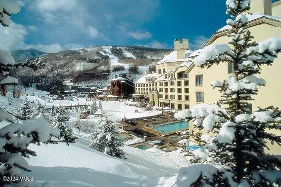 a view of swimming pool outdoor seating and covered with snow