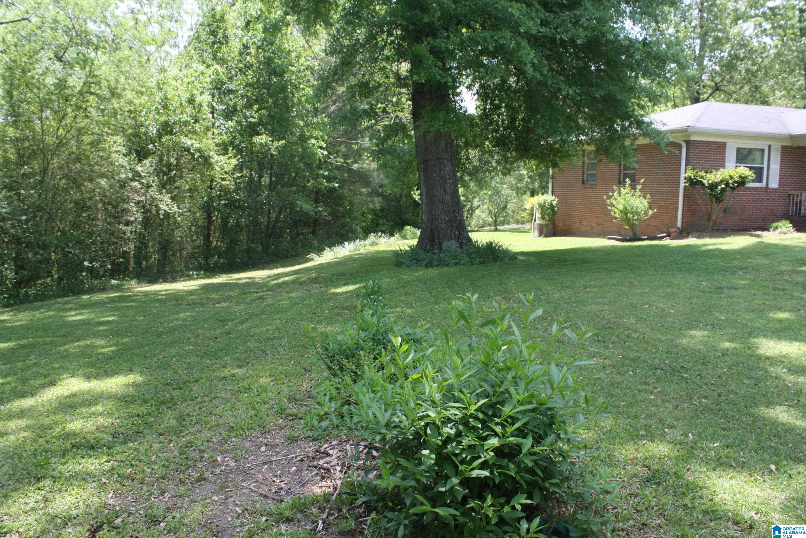 6083 Tommy Town Road Mount Olive, AL 35117 - Photo 17 of 45