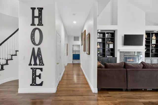 a view of a yard with plants and trees