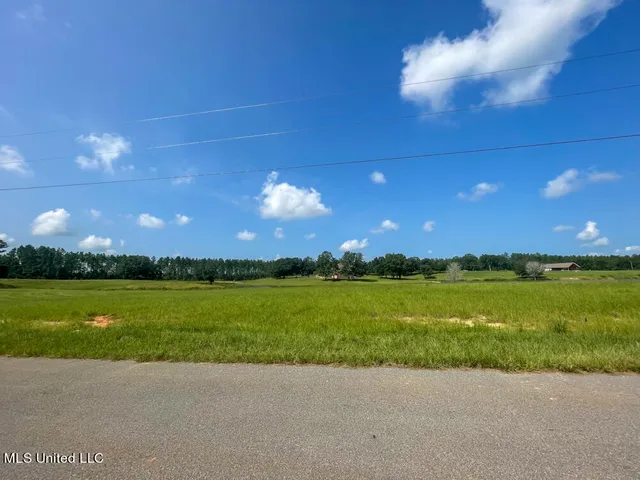 $68,832 | Lot 5 Gemma Drive, Lucedale, MS 39452