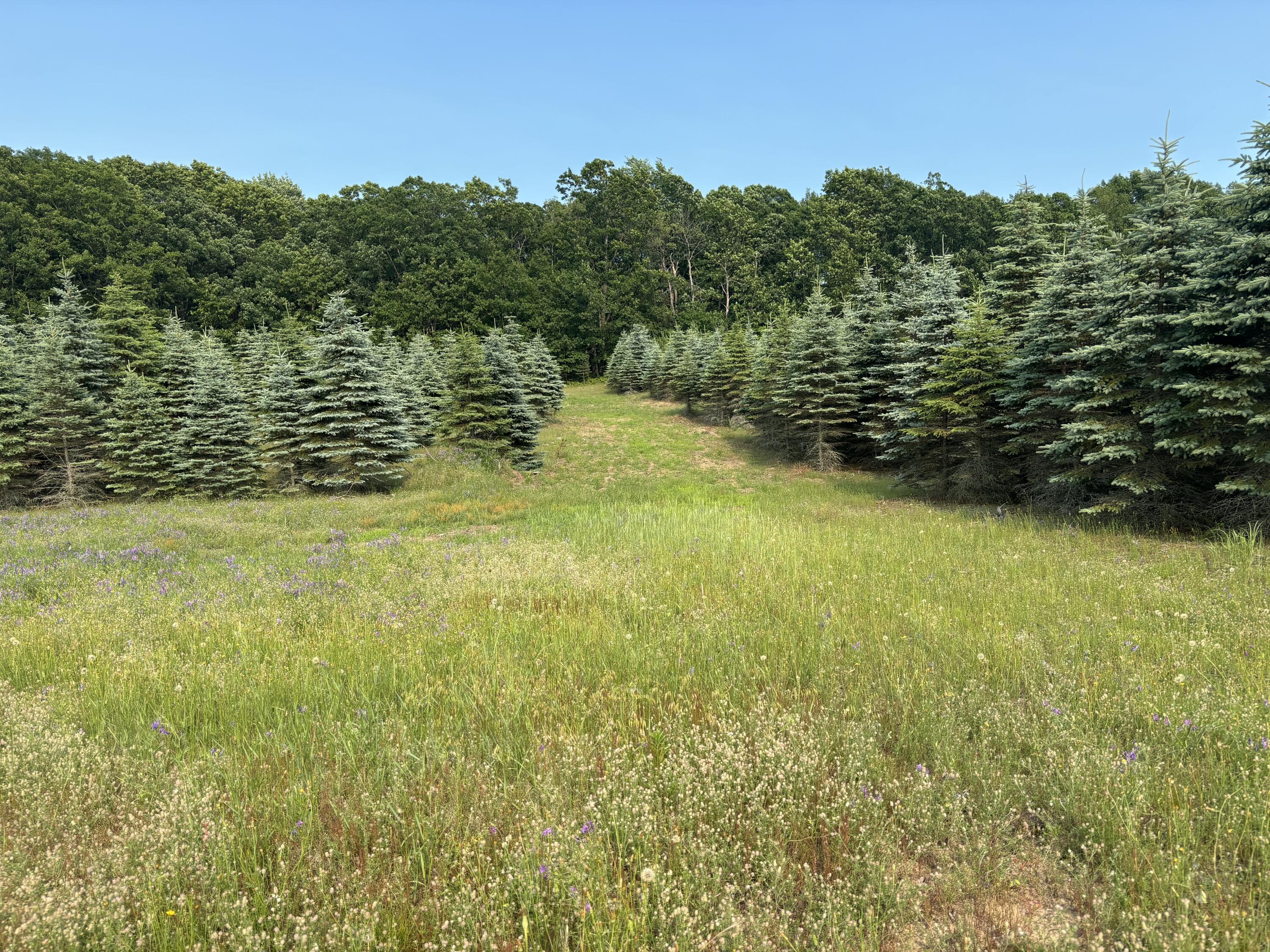 8 West Baseline Road Hart, MI 49420 - Photo 24 of 59 V/L 8 Baseline