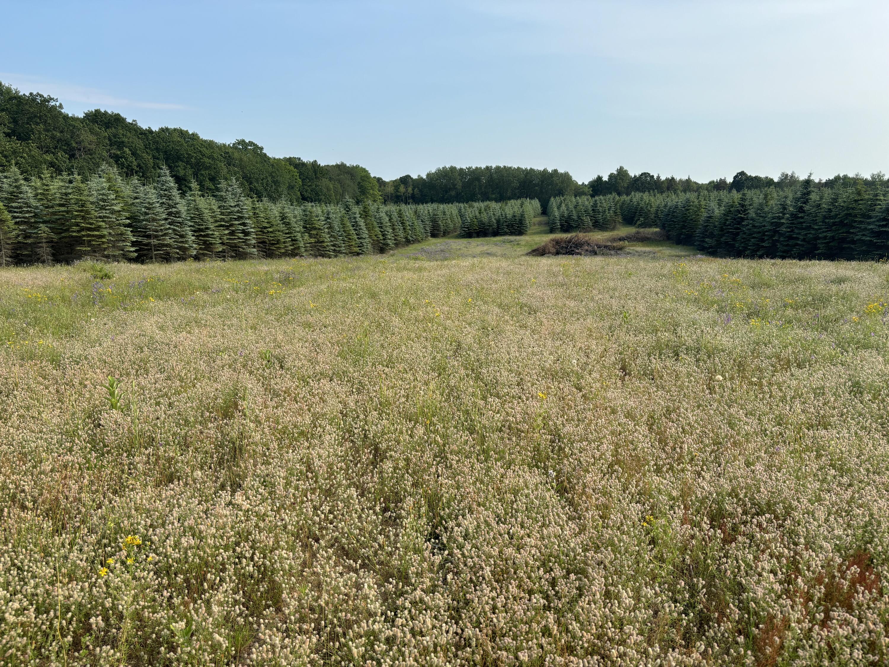 8 West Baseline Road Hart, MI 49420 - Photo 26 of 59 V/L 8 Baseline