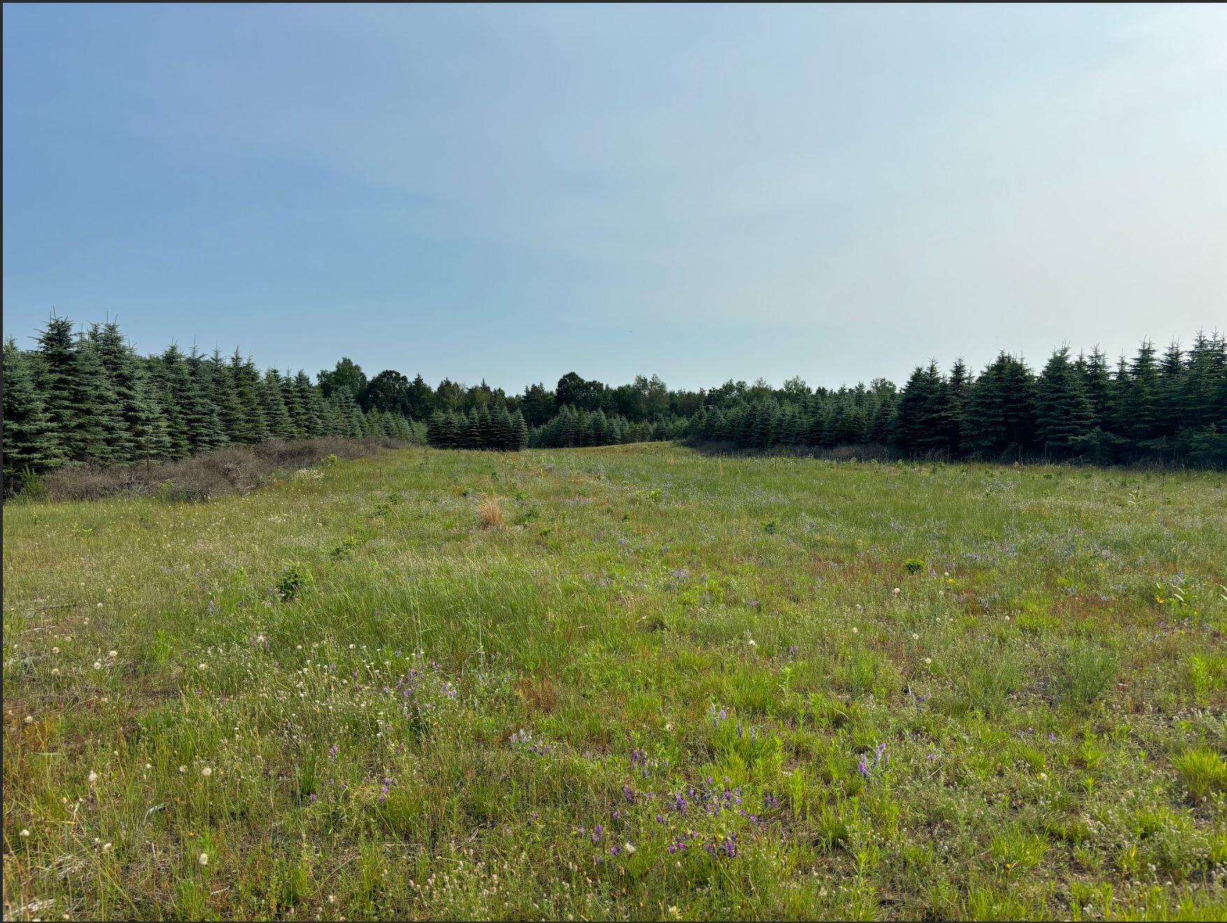 8 West Baseline Road Hart, MI 49420 - Photo 53 of 59 V/L 8 Baseline