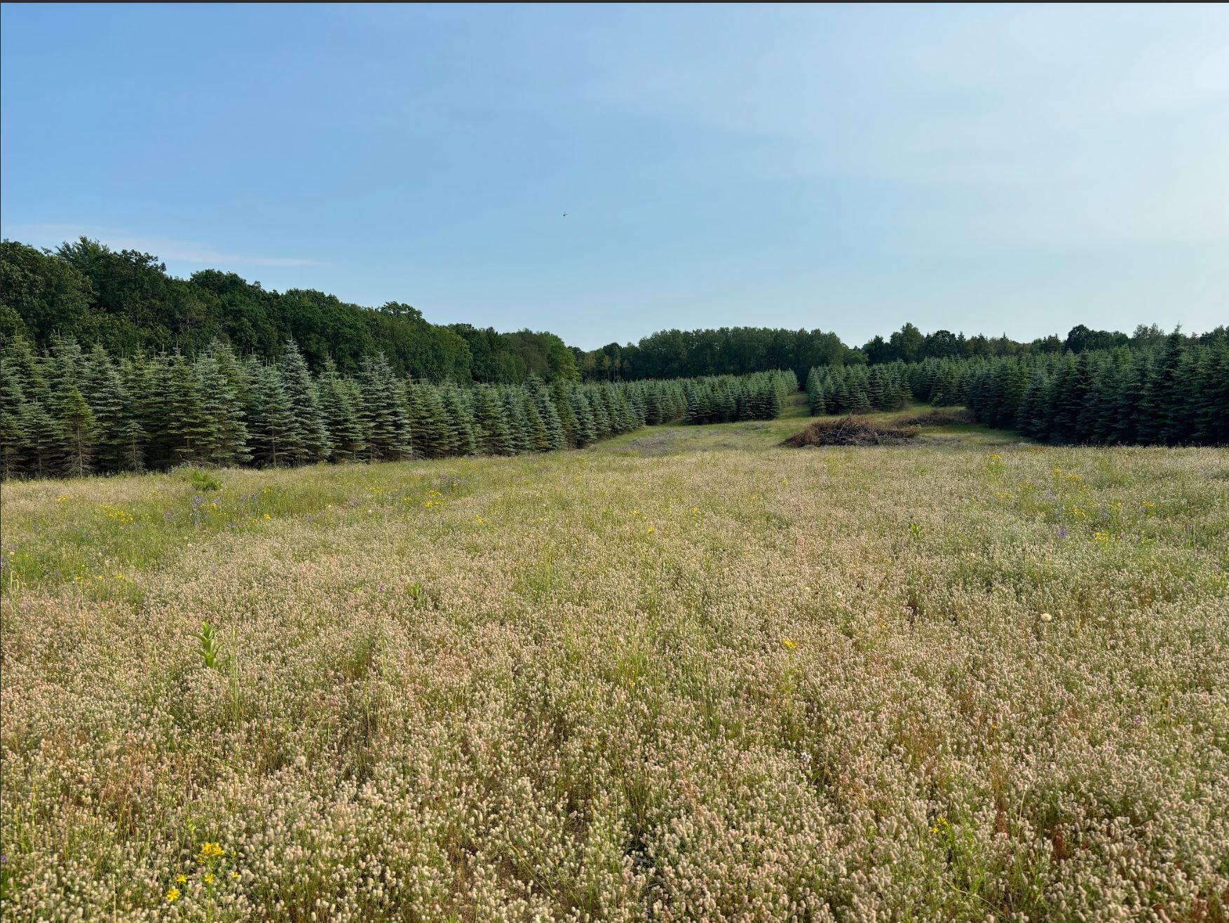 8 West Baseline Road Hart, MI 49420 - Photo 55 of 59 V/L 8 Baseline
