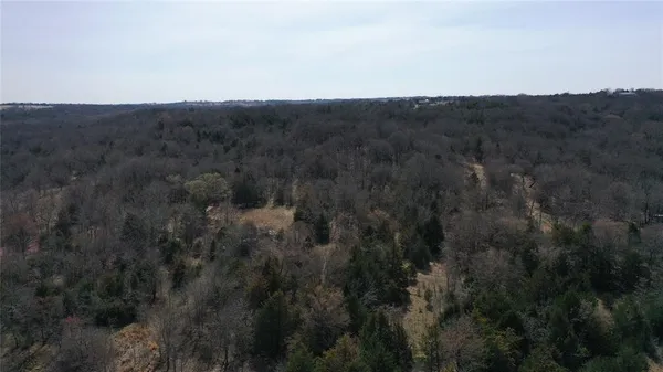 a view of a mountain in the distance