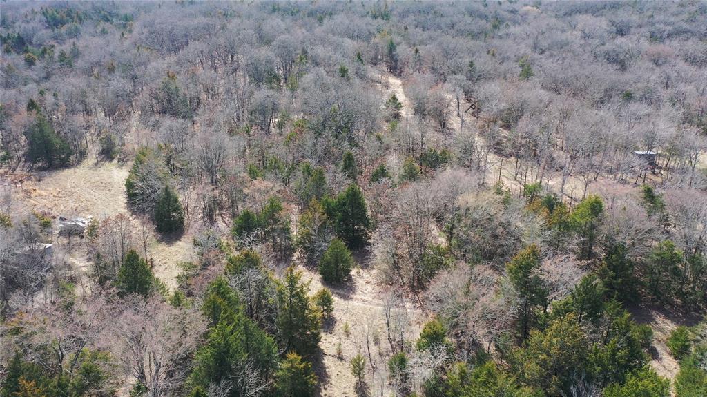 6484 Highway 56 Bells, TX 75414 - Photo 12 of 38 a view of a forest with lots of trees