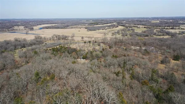 an aerial view of ocean and trees