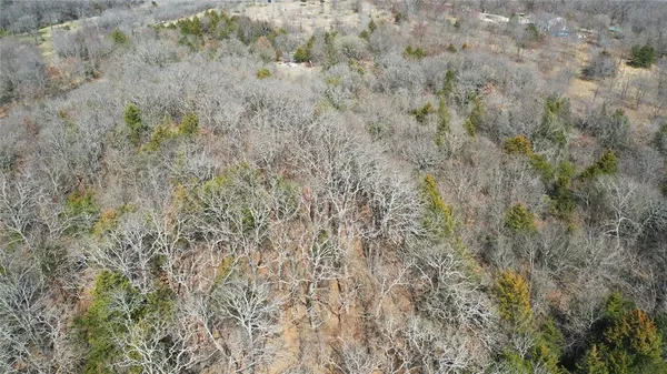 a close up of a field