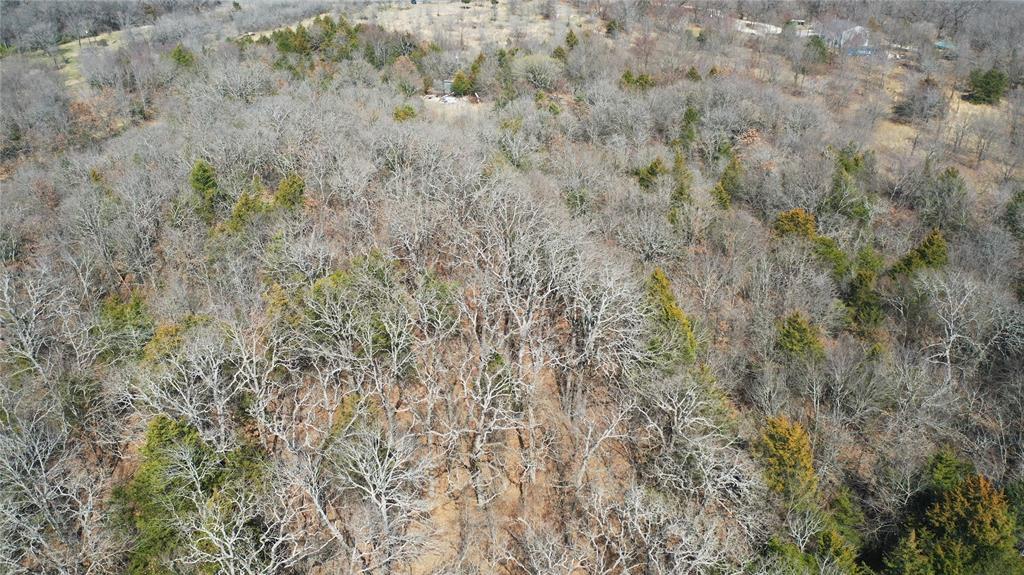 6484 Highway 56 Bells, TX 75414 - Photo 18 of 38 a close up of a field
