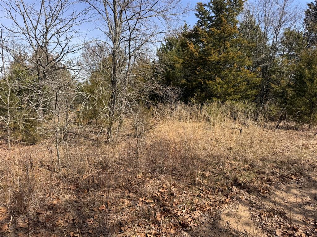 6484 Highway 56 Bells, TX 75414 - Photo 21 of 38 a view of a yard