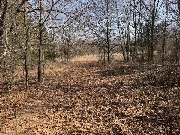 a view of backyard with tree