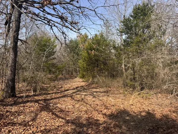 a view of backyard of a house