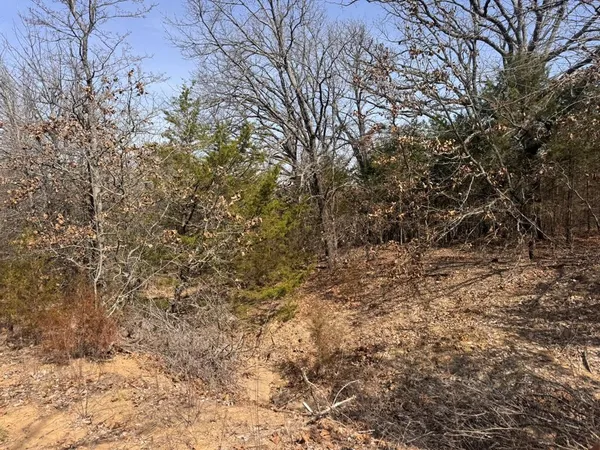 a view of a yard