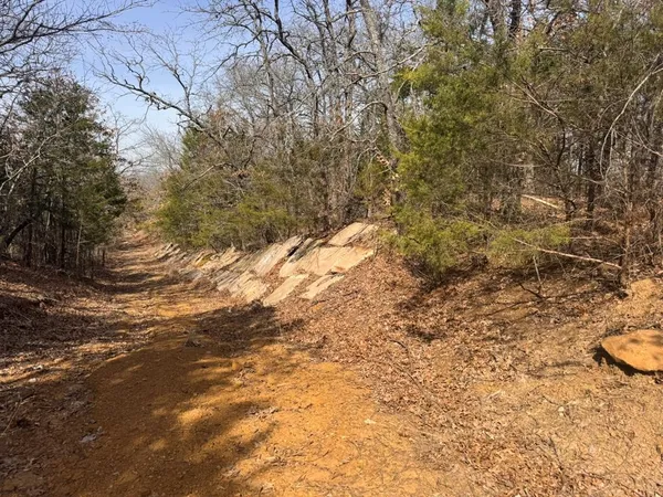a view of a yard with trees