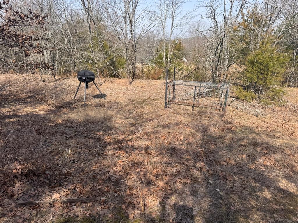 6484 Highway 56 Bells, TX 75414 - Photo 36 of 38 a view of a yard with a tree