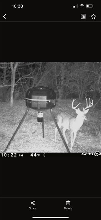 6484 Highway 56 Bells, TX 75414 - Photo 38 of 38