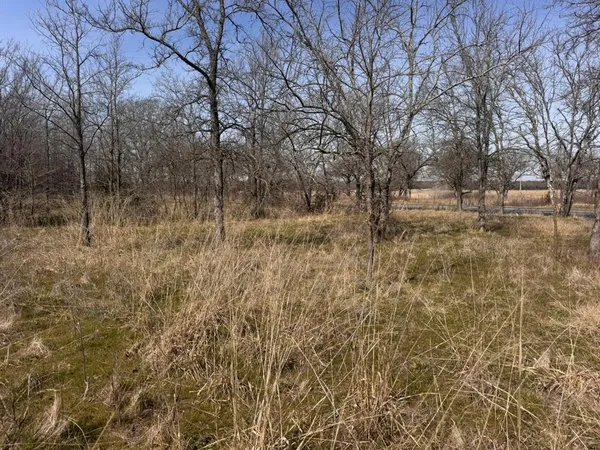 a view of a yard