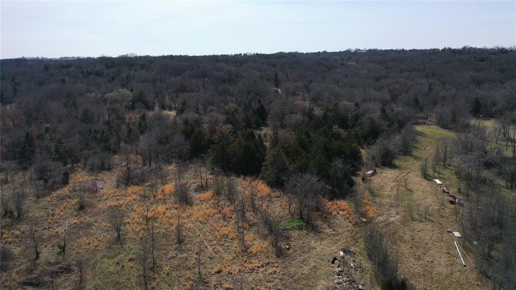 6484 Highway 56 Bells, TX 75414 - Photo 6 of 38 a view of a forest with trees in the background