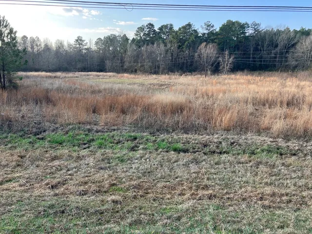 $59,900 | 1111 Brookhaven Street, Brookhaven, MS 39601