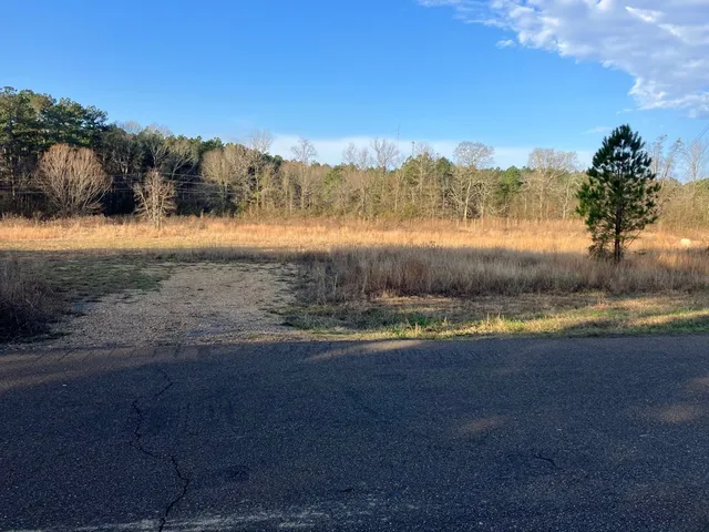 $59,900 | 1111 Brookhaven Street, Brookhaven, MS 39601